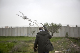 Occupation: 'The Finest Israeli Documentary'