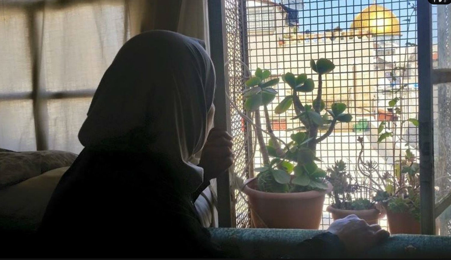 Sheikh Jarrah: A Tale of Eviction and Resettlement