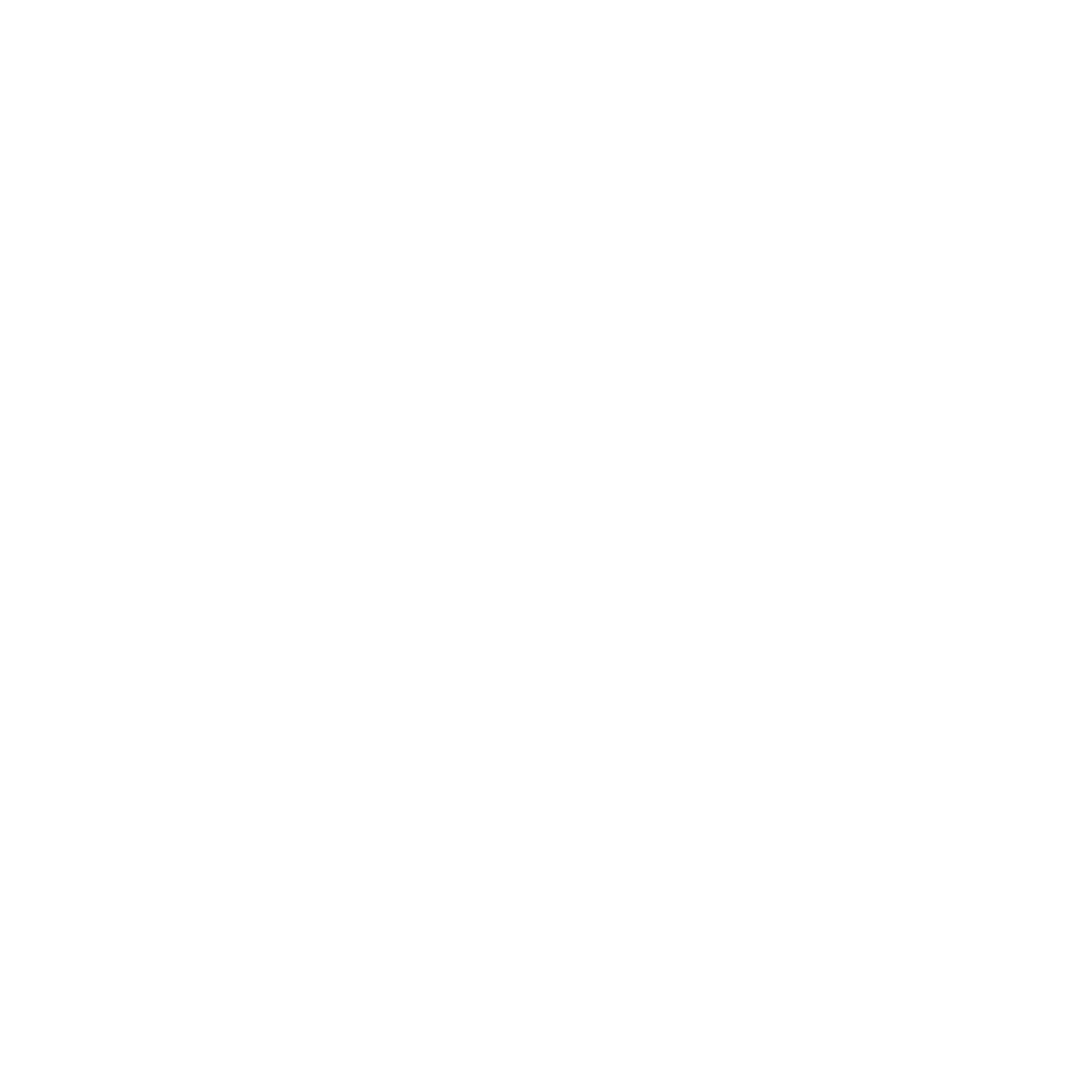 VOICE